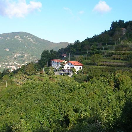 Agriturismo Il Castagno Villa Agerola Ngoại thất bức ảnh