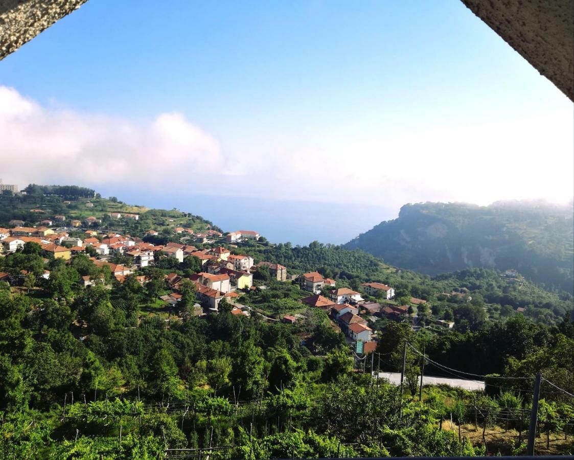 Agriturismo Il Castagno Villa Agerola Ngoại thất bức ảnh