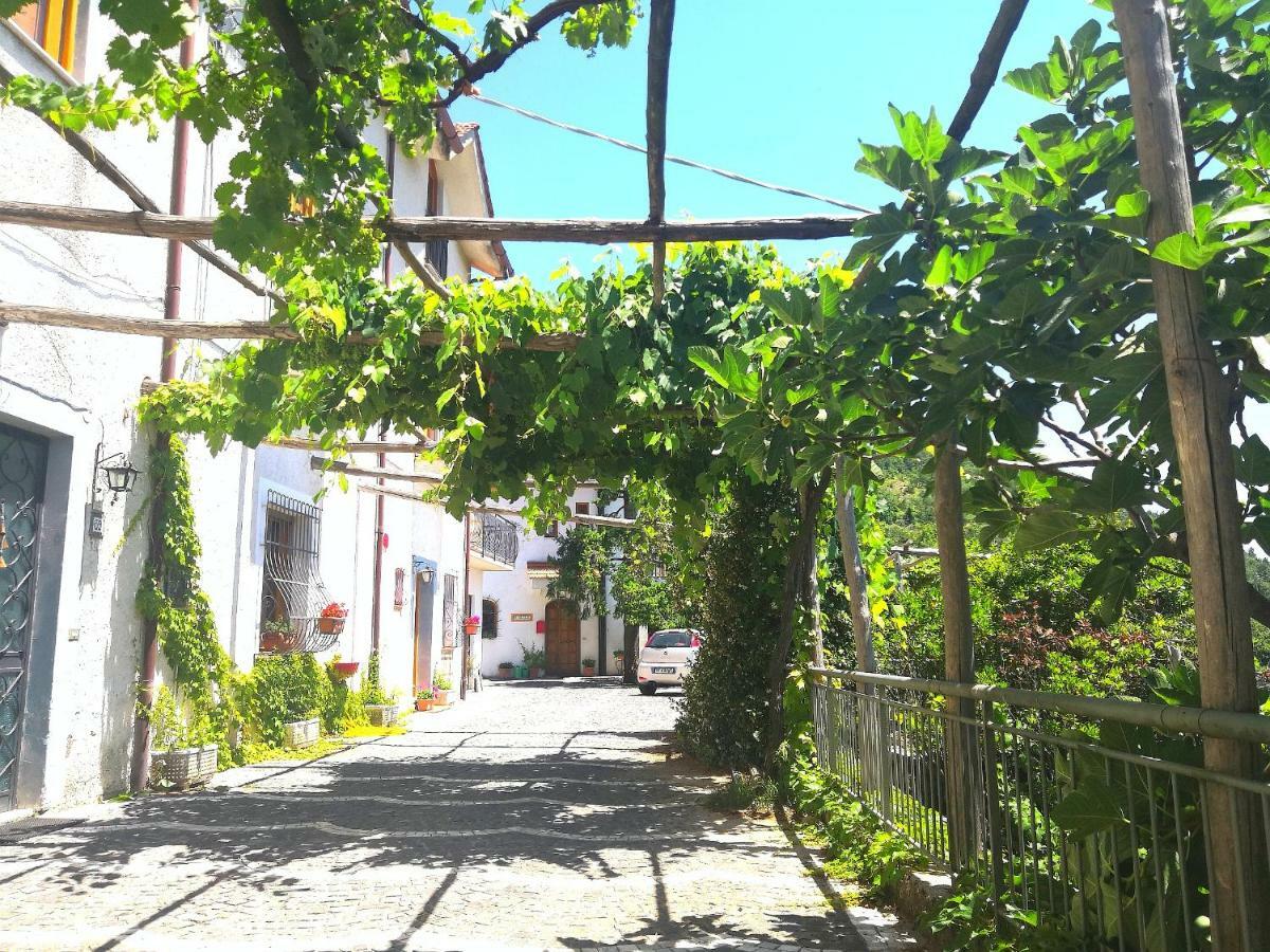 Agriturismo Il Castagno Villa Agerola Ngoại thất bức ảnh