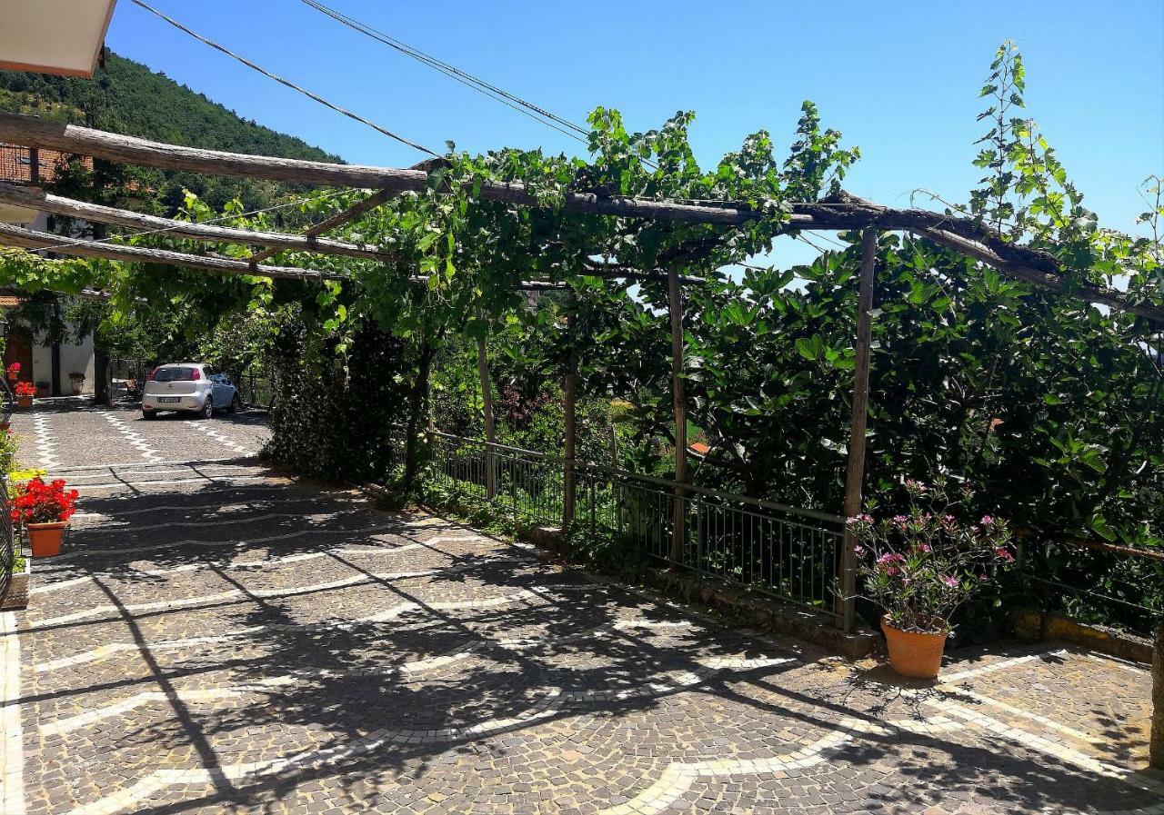 Agriturismo Il Castagno Villa Agerola Ngoại thất bức ảnh