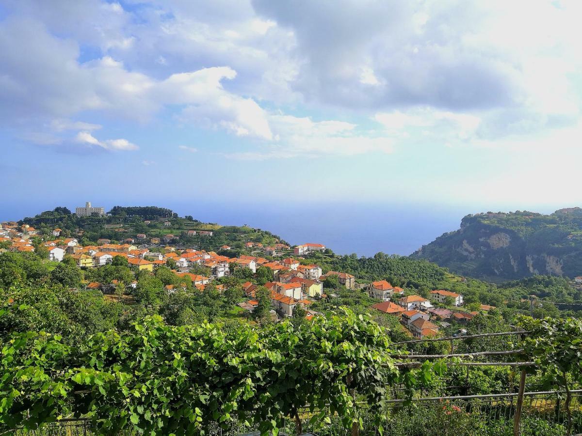 Agriturismo Il Castagno Villa Agerola Ngoại thất bức ảnh