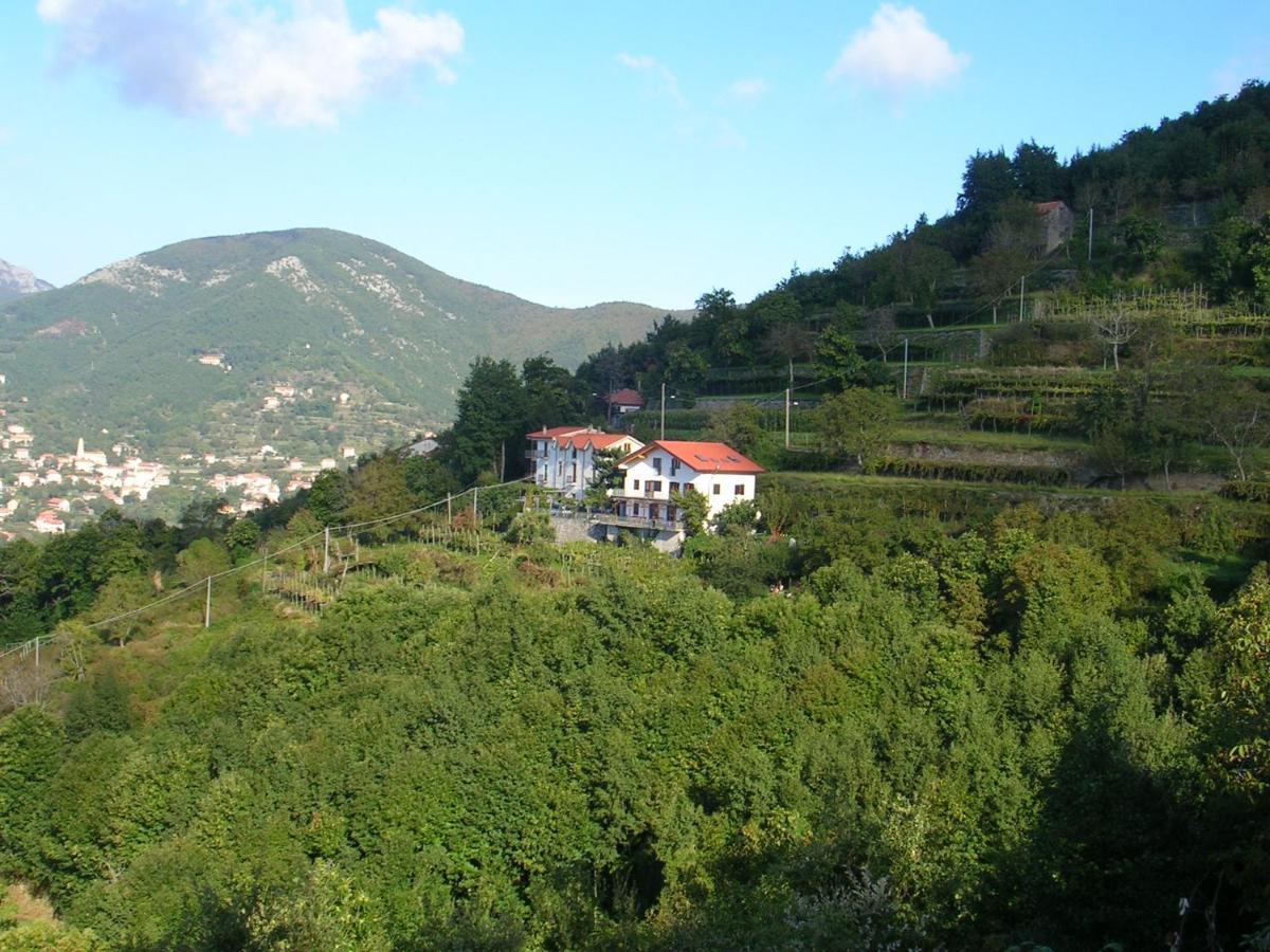 Agriturismo Il Castagno Villa Agerola Ngoại thất bức ảnh